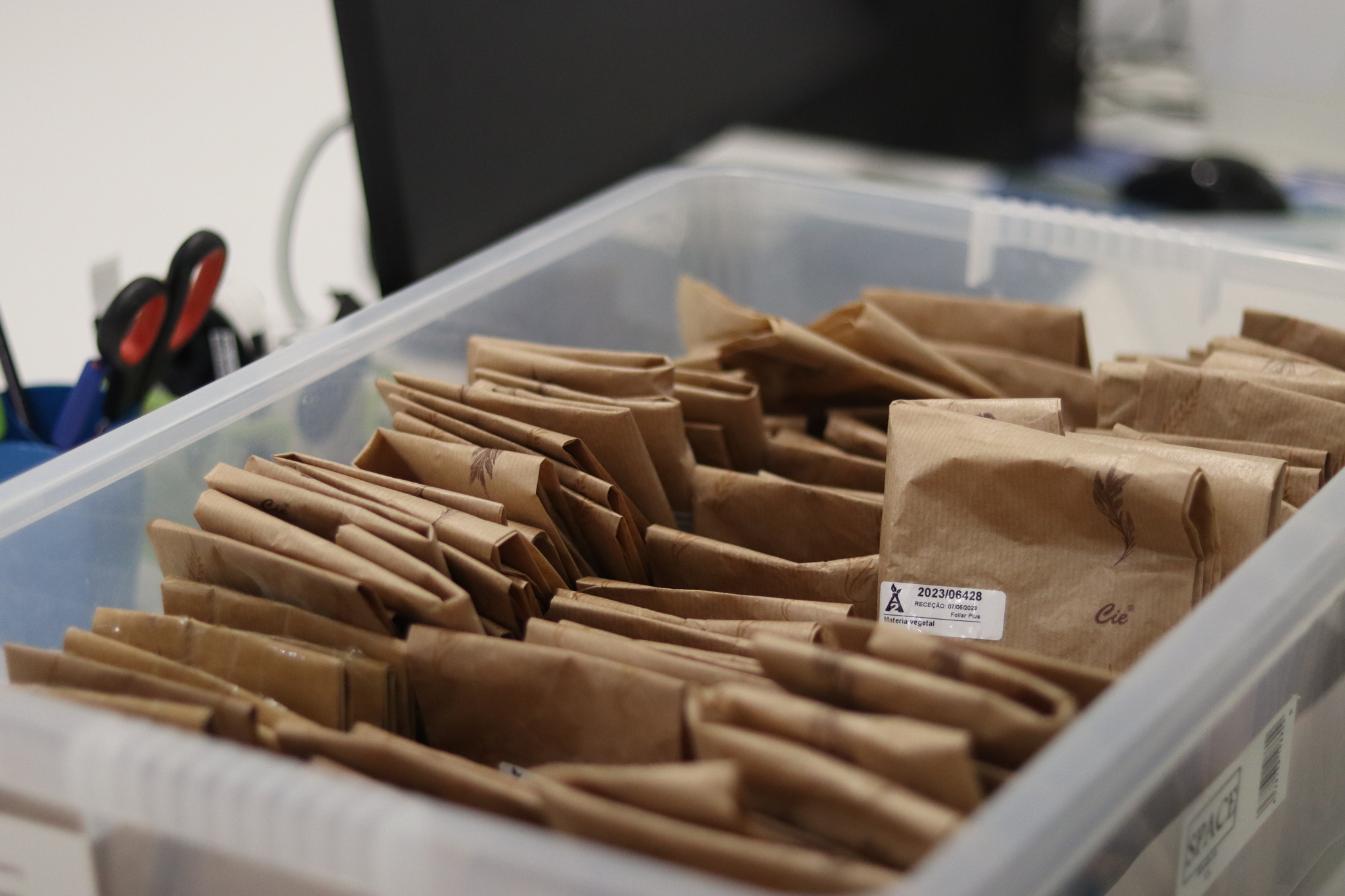 amostras de solo armazenadas para posterior análise laboratorial